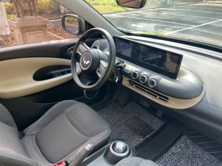 2023 WuLing BinGuo BEV 31.9KWH,autocango,china used car exporter,china ev exporter,chinese used car exporter,chinese used ev exporter