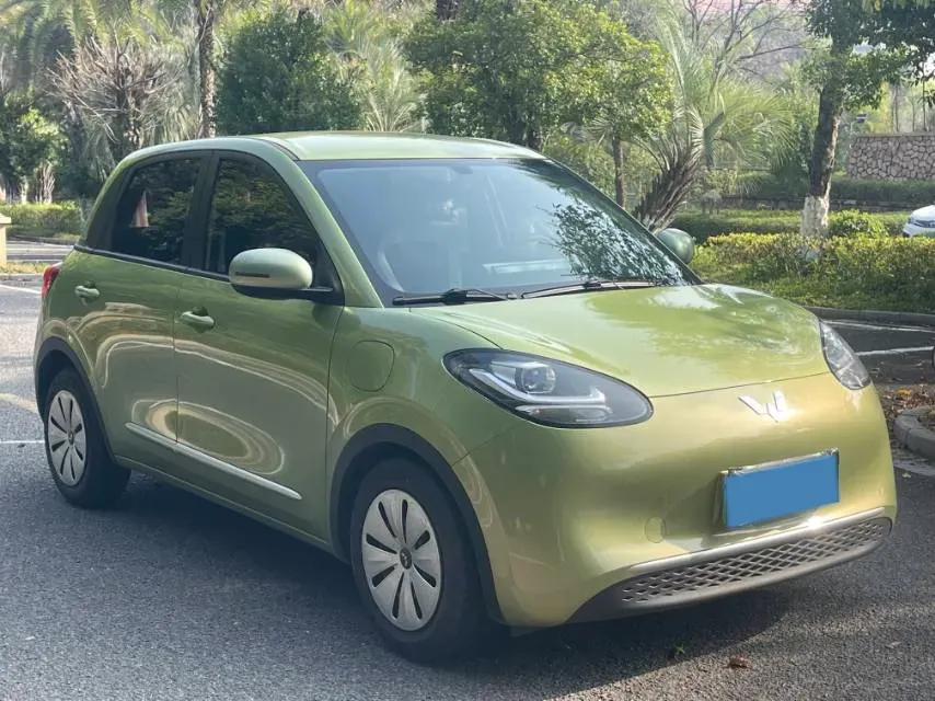 2023 WuLing BinGuo BEV 31.9KWH,autocango,china used car exporter,china ev exporter,chinese used car exporter,chinese used ev exporter