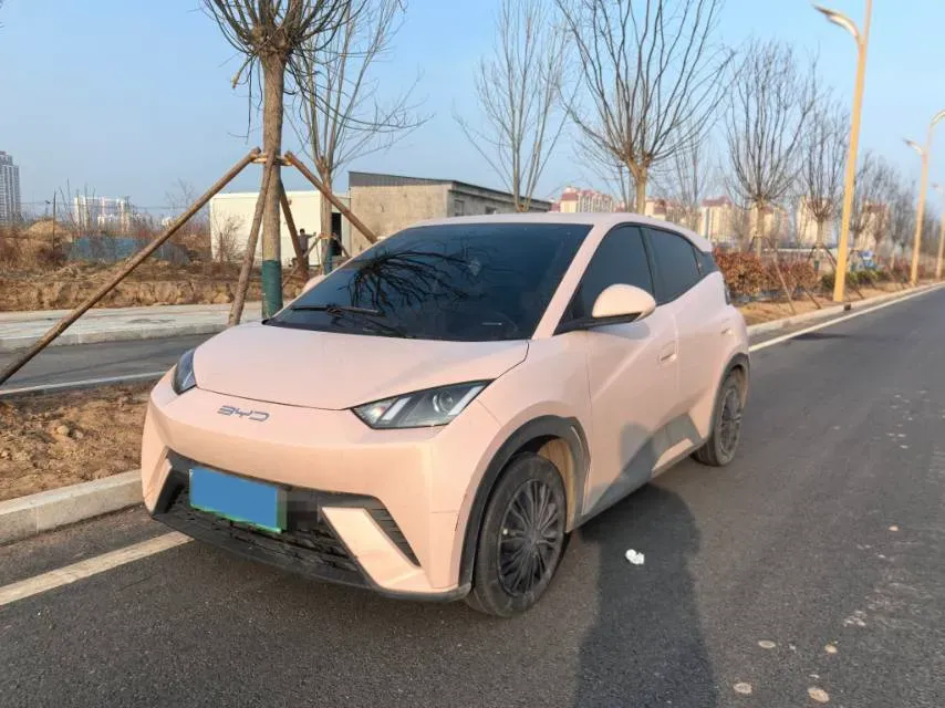 2023 BYD Seagull BEV 30.08KWH,autocango,china used car exporter,china ev exporter,chinese used car exporter,chinese used ev exporter
