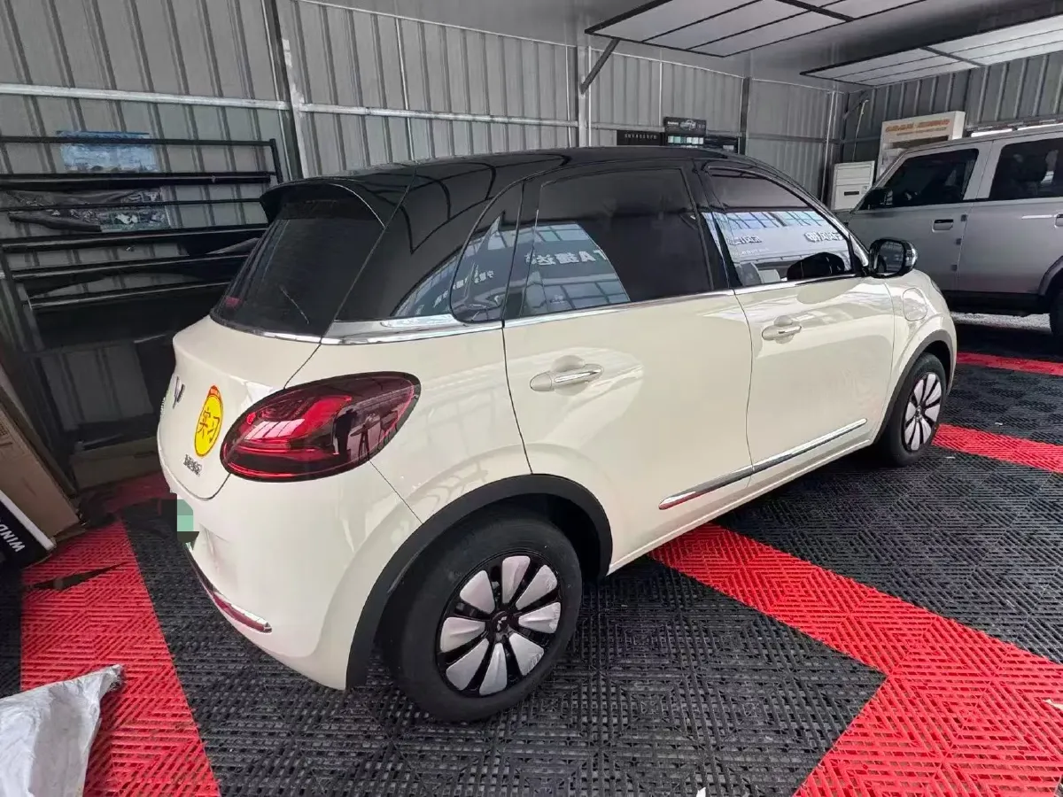 2024 WuLing BinGuo BEV 31.9KWH,autocango,china used car exporter,china ev exporter,chinese used car exporter,chinese used ev exporter