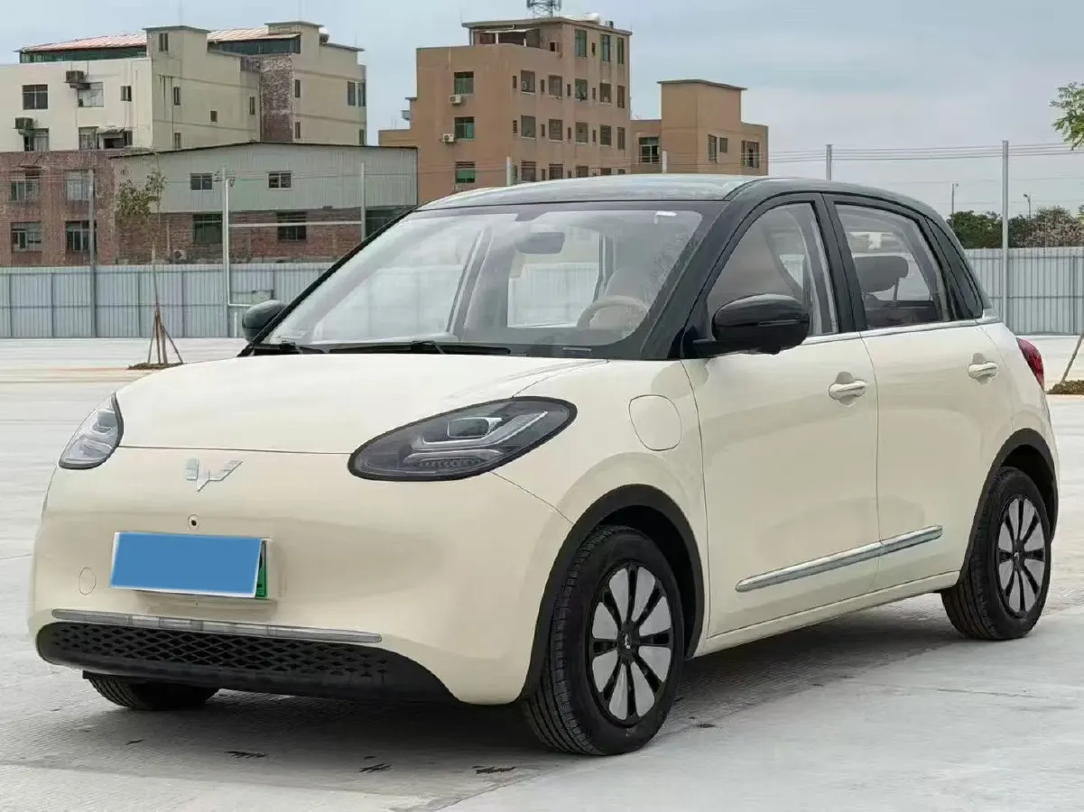 2024 WuLing BinGuo BEV 31.9KWH,autocango,china used car exporter,china ev exporter,chinese used car exporter,chinese used ev exporter