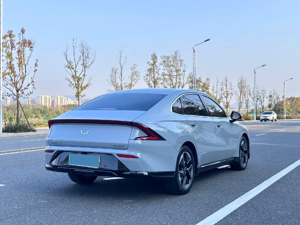 2024 WuLing XingGuang BEV 54.5KWH,autocango,china used car exporter,china ev exporter,chinese used car exporter,chinese used ev exporter