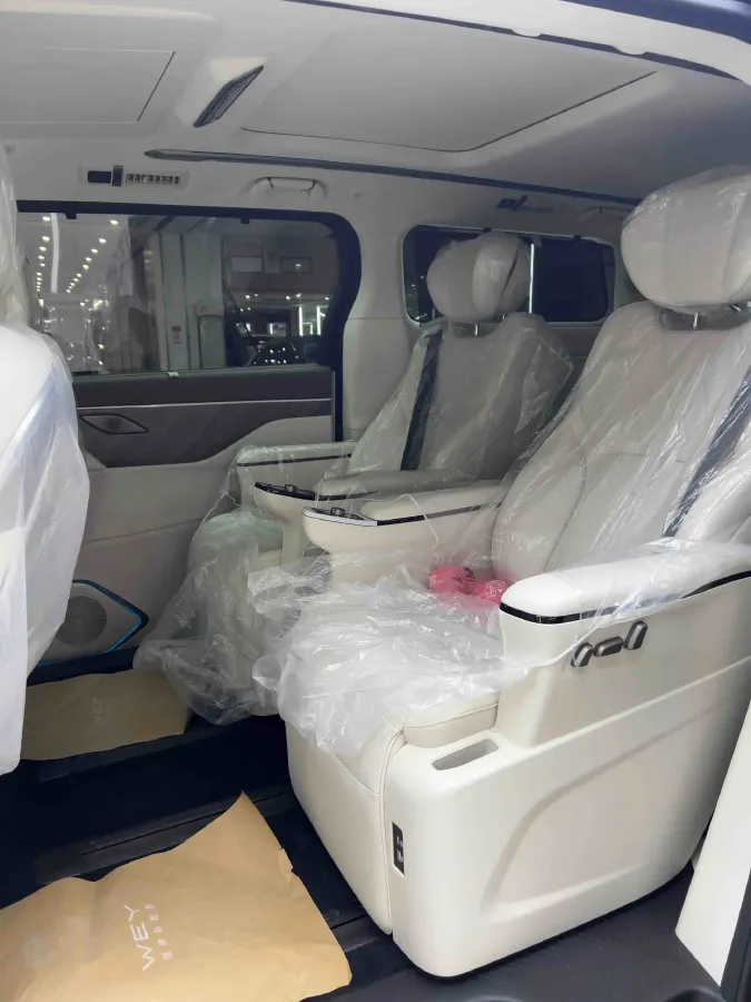 2025 WEY HighMountain 1.5T 170HP L4 4DHT PHEV,autocango,china used car exporter,china ev exporter,chinese used car exporter,chinese used ev exporter