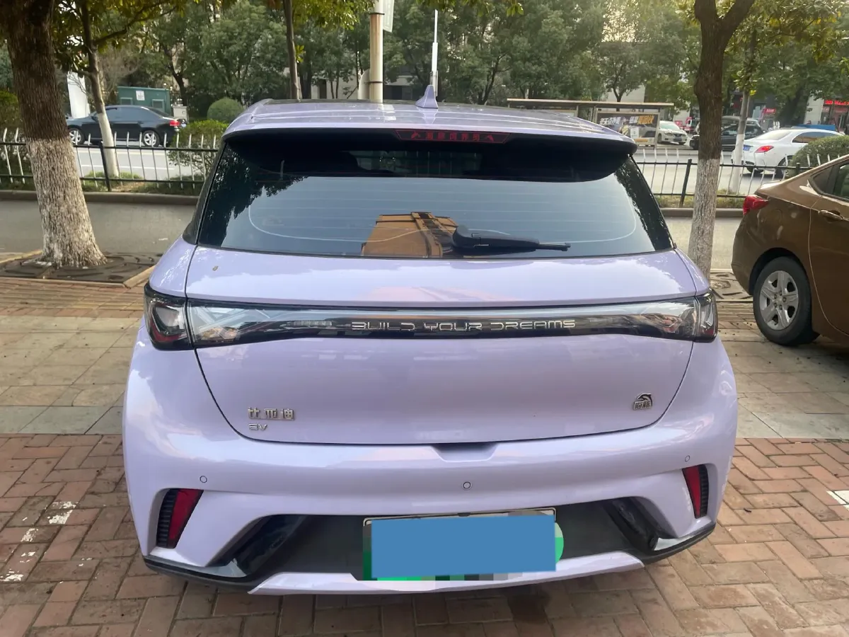 2023 BYD Dolphin BEV 44.928KWH,autocango,china used car exporter,china ev exporter,chinese used car exporter,chinese used ev exporter
