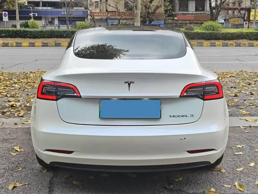 2021 Tesla Model 3 BEV 55KWH,autocango,china used car exporter,china ev exporter,chinese used car exporter,chinese used ev exporter