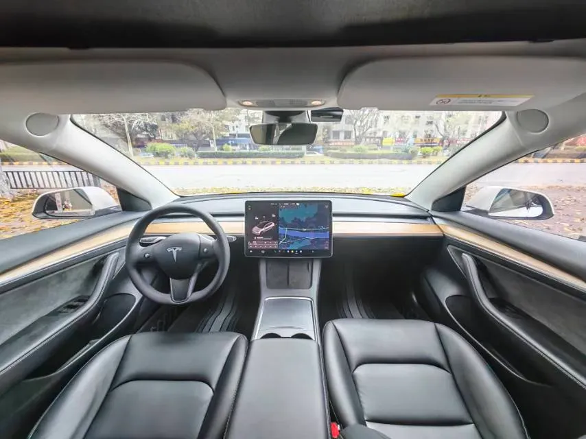 2021 Tesla Model 3 BEV 55KWH,autocango,china used car exporter,china ev exporter,chinese used car exporter,chinese used ev exporter