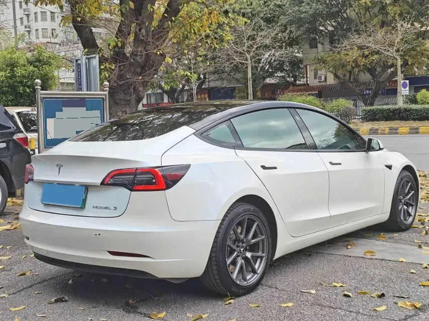 2021 Tesla Model 3 BEV 55KWH,autocango,china used car exporter,china ev exporter,chinese used car exporter,chinese used ev exporter