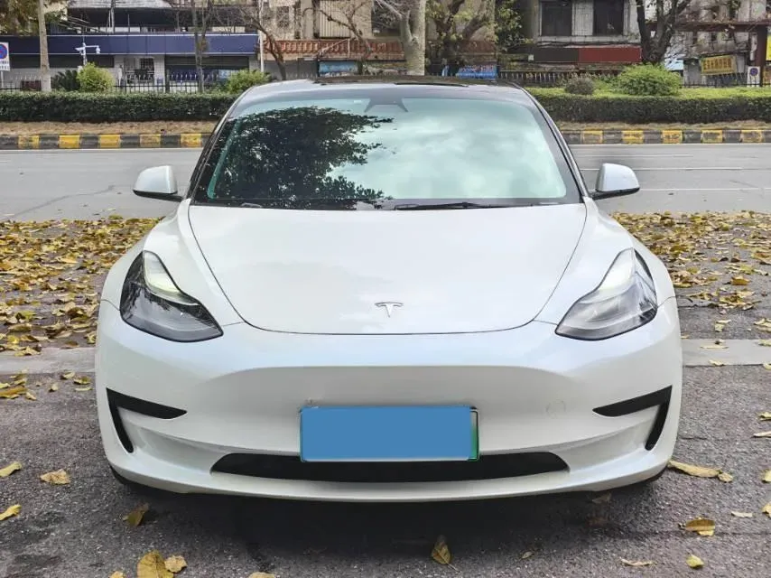 2021 Tesla Model 3 BEV 55KWH,autocango,china used car exporter,china ev exporter,chinese used car exporter,chinese used ev exporter