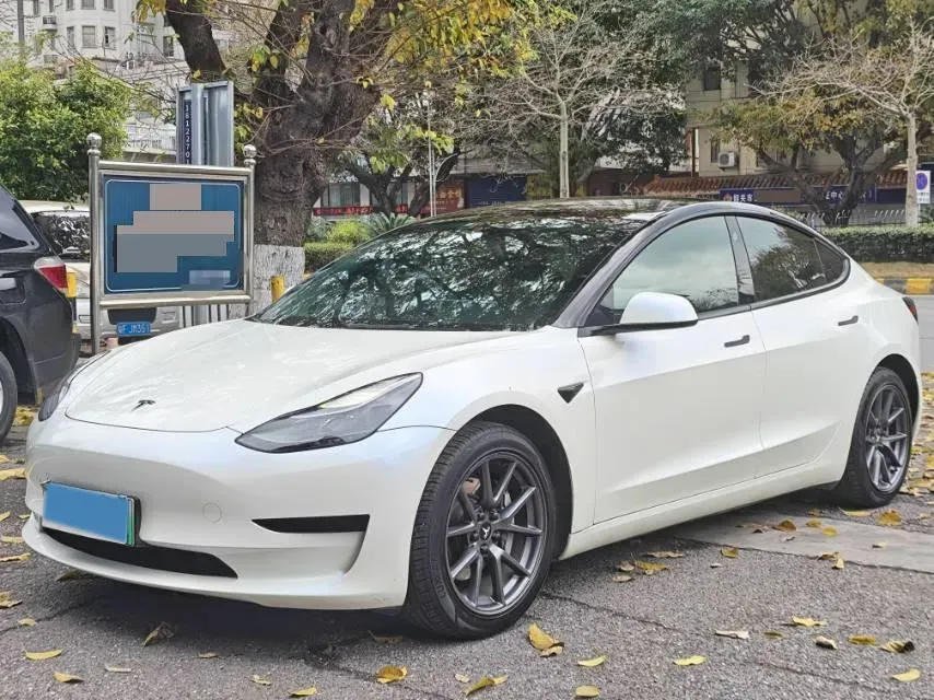 2021 Tesla Model 3 BEV 55KWH,autocango,china used car exporter,china ev exporter,chinese used car exporter,chinese used ev exporter