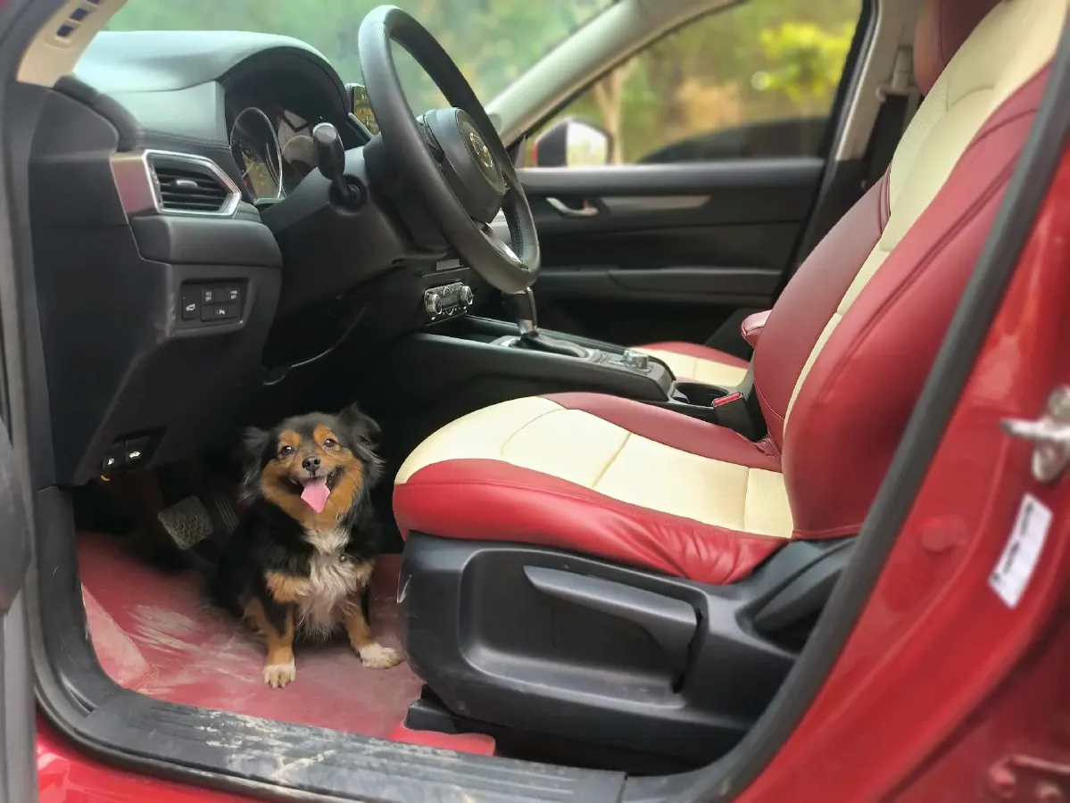 2017 Mazda CX-5 2.0L 155HP L4 6AT,autocango,china used car exporter,china ev exporter,chinese used car exporter,chinese used ev exporter