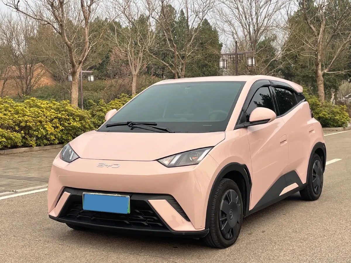 2024 BYD Seagull BEV 30.08KWH,autocango,china used car exporter,china ev exporter,chinese used car exporter,chinese used ev exporter