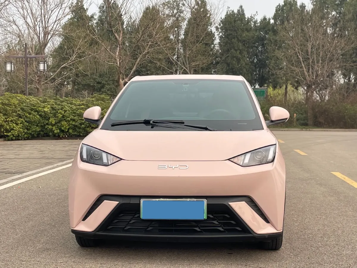 2024 BYD Seagull BEV 30.08KWH,autocango,china used car exporter,china ev exporter,chinese used car exporter,chinese used ev exporter