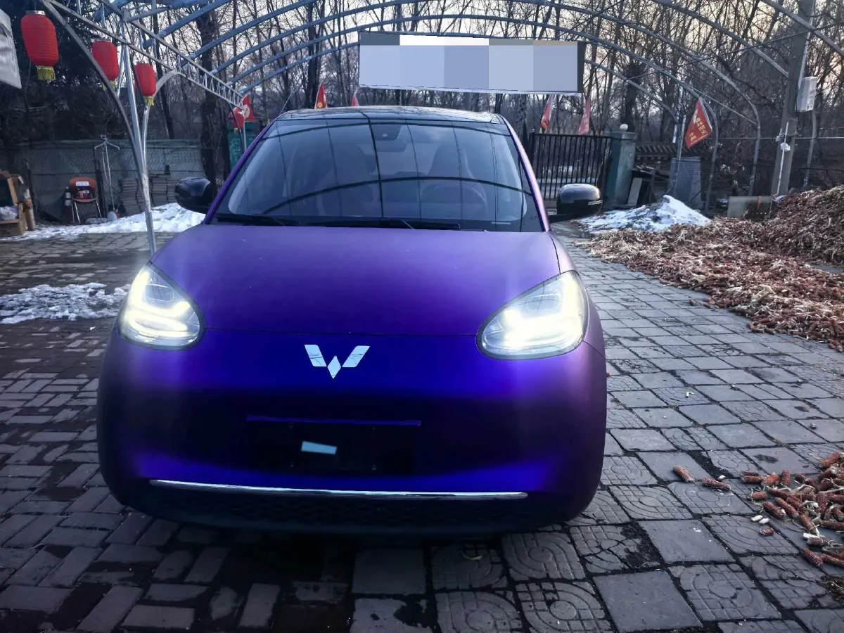 2023 WuLing BinGuo BEV 31.9KWH,autocango,china used car exporter,china ev exporter,chinese used car exporter,chinese used ev exporter