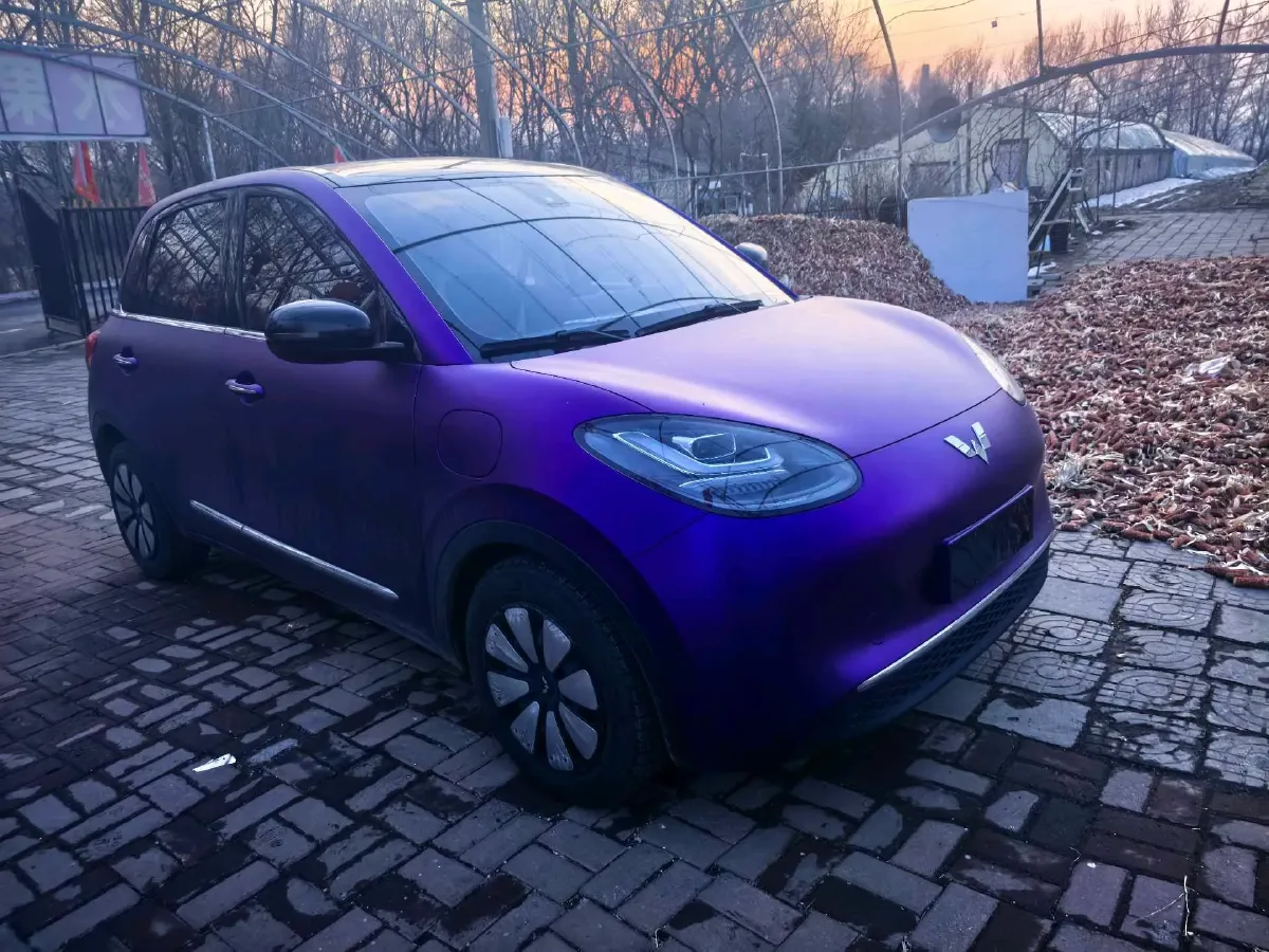 2023 WuLing BinGuo BEV 31.9KWH,autocango,china used car exporter,china ev exporter,chinese used car exporter,chinese used ev exporter