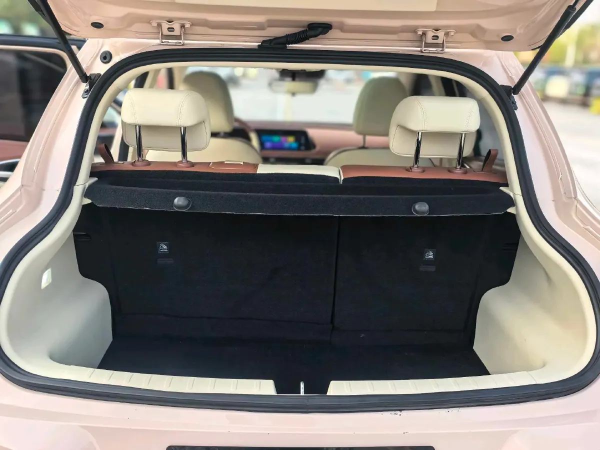 2021 Ora FunkyCat BEV 45.99KWH,autocango,china used car exporter,china ev exporter,chinese used car exporter,chinese used ev exporter