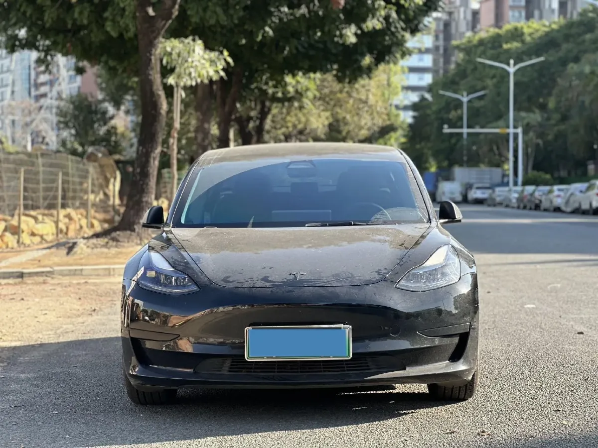2021 Tesla Model 3 BEV 55KWH,autocango,china used car exporter,china ev exporter,chinese used car exporter,chinese used ev exporter