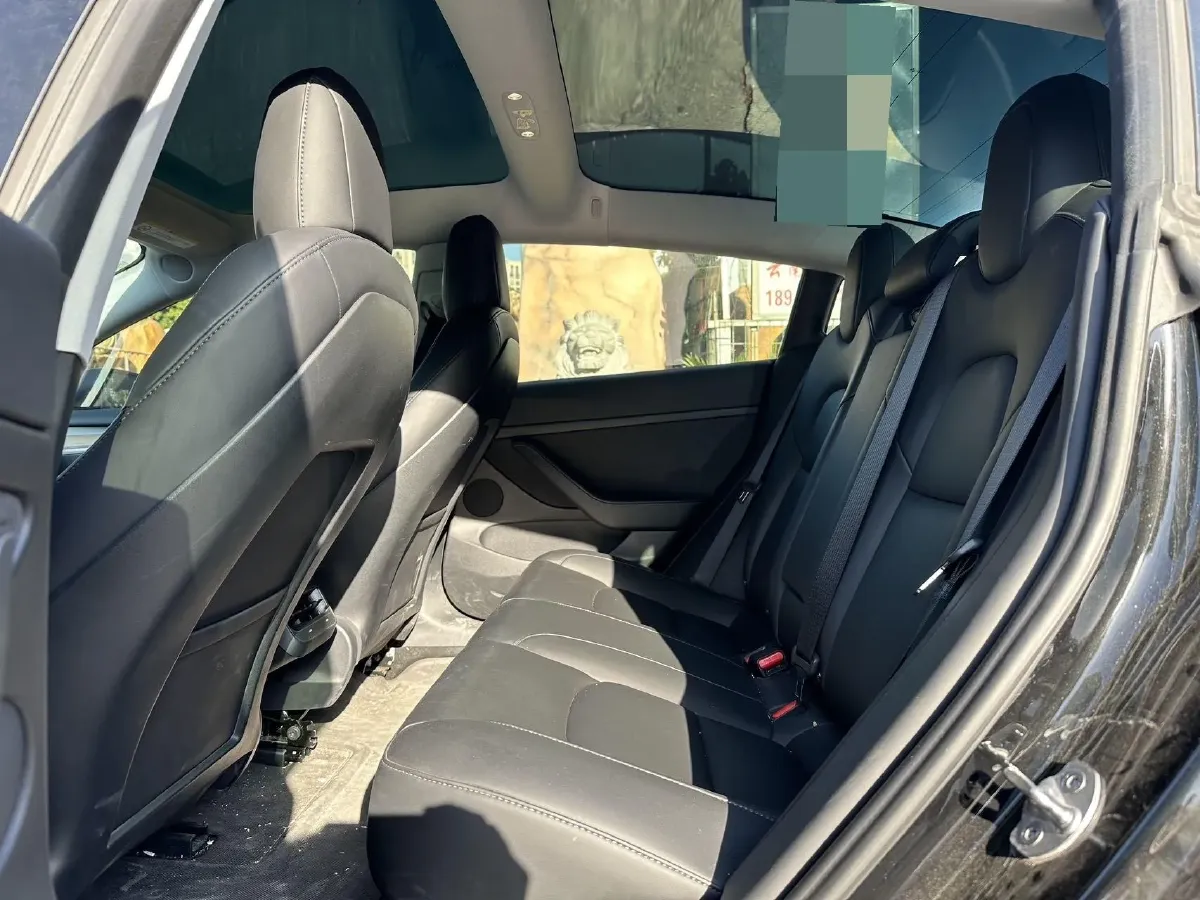 2021 Tesla Model 3 BEV 55KWH,autocango,china used car exporter,china ev exporter,chinese used car exporter,chinese used ev exporter