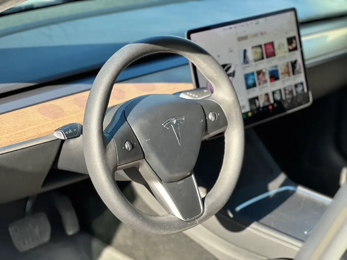 2021 Tesla Model 3 BEV 55KWH,autocango,china used car exporter,china ev exporter,chinese used car exporter,chinese used ev exporter
