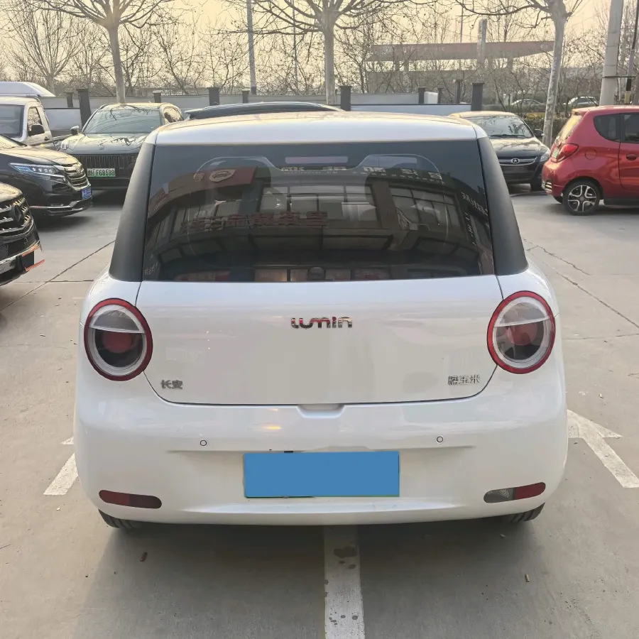 2024 ChangAn QiYuan Lumin BEV 13.41KWH,autocango,china used car exporter,china ev exporter,chinese used car exporter,chinese used ev exporter