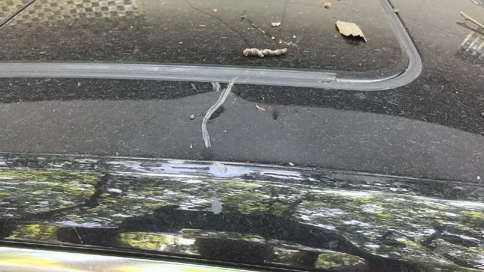 2023 Cadillac CT5 2.0T 237HP L4 10AT,autocango,china used car exporter,china ev exporter,chinese used car exporter,chinese used ev exporter