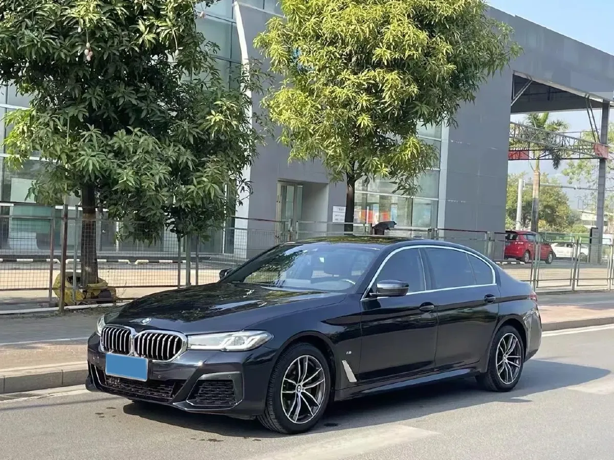 2021 BMW 5 Series 2.0T 184HP L4 8AT,autocango,china used car exporter,china ev exporter,chinese used car exporter,chinese used ev exporter
