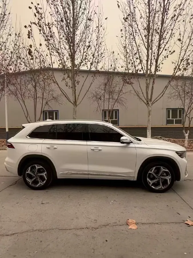 2021 Geely Monjaro 2.0T 218HP L4 7DCT,autocango,china used car exporter,china ev exporter,chinese used car exporter,chinese used ev exporter