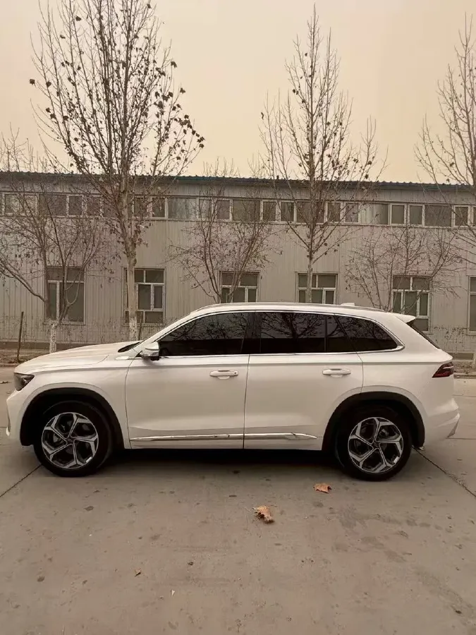 2021 Geely Monjaro 2.0T 218HP L4 7DCT,autocango,china used car exporter,china ev exporter,chinese used car exporter,chinese used ev exporter