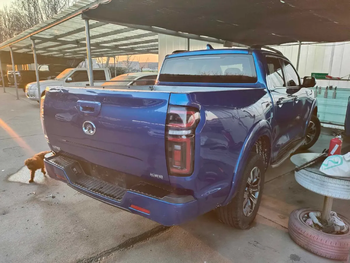 2021 Great Wall Poer 2.0T 163HP L4 8AT,autocango,china used car exporter,china ev exporter,chinese used car exporter,chinese used ev exporter