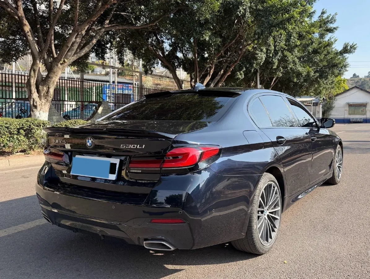 2022 BMW 5 Series 2.0T 252HP L4 8AT,autocango,china used car exporter,china ev exporter,chinese used car exporter,chinese used ev exporter