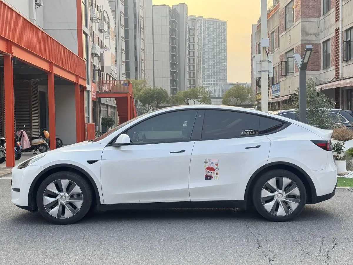 2021 Tesla Model Y BEV 60KWH,autocango,china used car exporter,china ev exporter,chinese used car exporter,chinese used ev exporter
