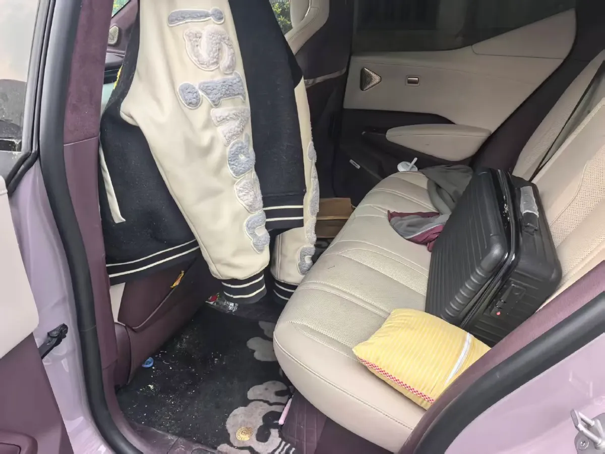 2024 Zeekr X BEV 66KWH,autocango,china used car exporter,china ev exporter,chinese used car exporter,chinese used ev exporter