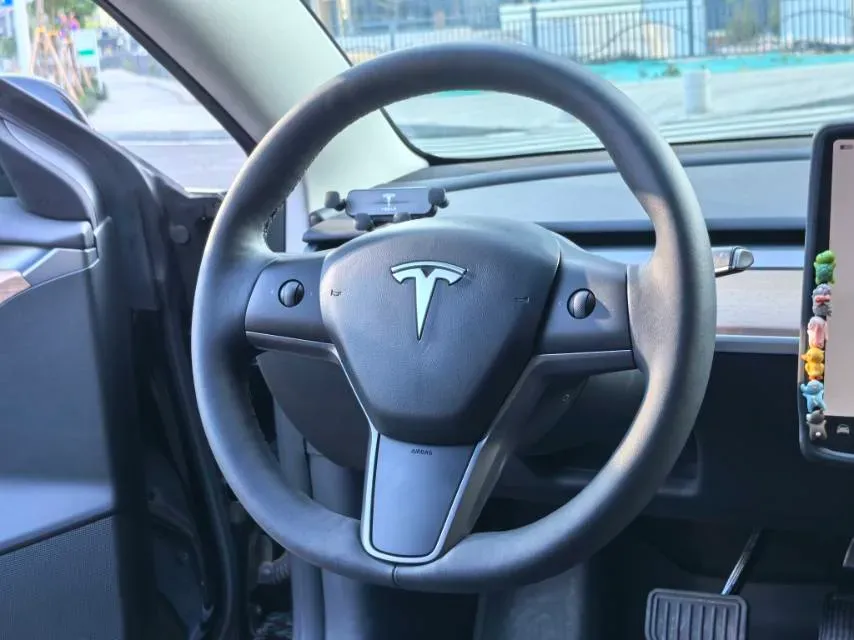 2022 Tesla Model 3 BEV 60KWH,autocango,china used car exporter,china ev exporter,chinese used car exporter,chinese used ev exporter