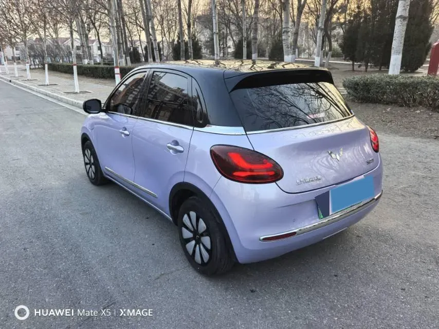 2025 WuLing BinGuo BEV,autocango,china used car exporter,china ev exporter,chinese used car exporter,chinese used ev exporter