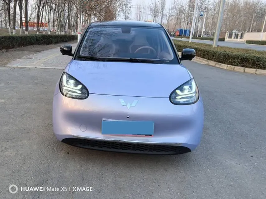 2025 WuLing BinGuo BEV,autocango,china used car exporter,china ev exporter,chinese used car exporter,chinese used ev exporter