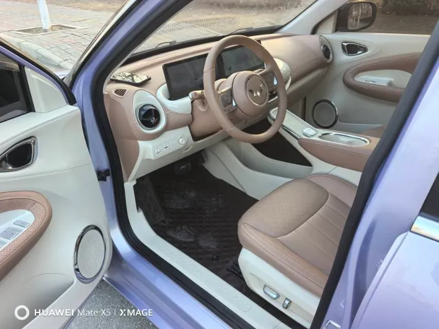 2025 WuLing BinGuo BEV,autocango,china used car exporter,china ev exporter,chinese used car exporter,chinese used ev exporter