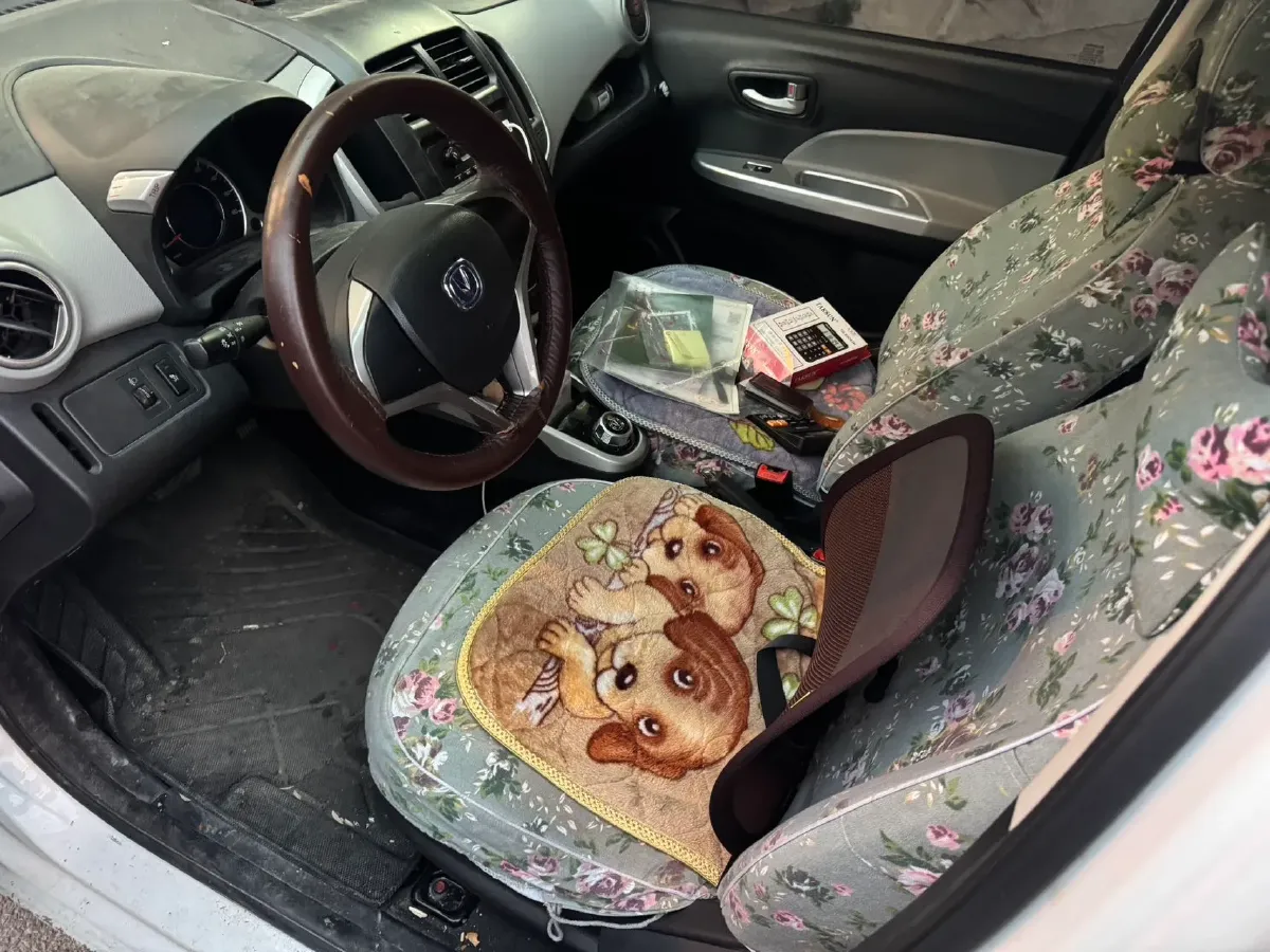 2021 ChangAn BenBen E-Star BEV 32.2KWH,autocango,china used car exporter,china ev exporter,chinese used car exporter,chinese used ev exporter