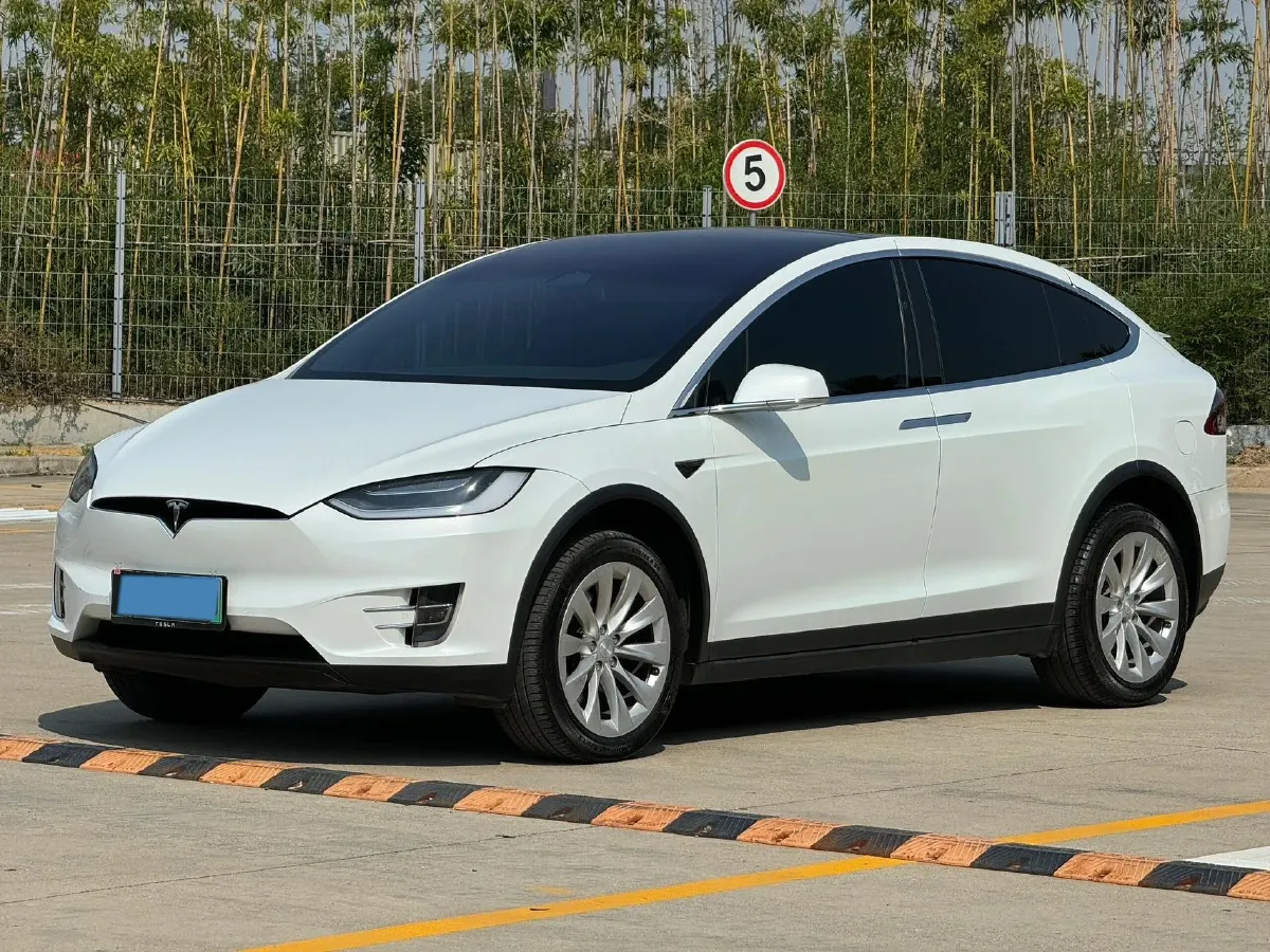 2019 Tesla Model X BEV 100KWH,autocango,china used car exporter,china ev exporter,chinese used car exporter,chinese used ev exporter