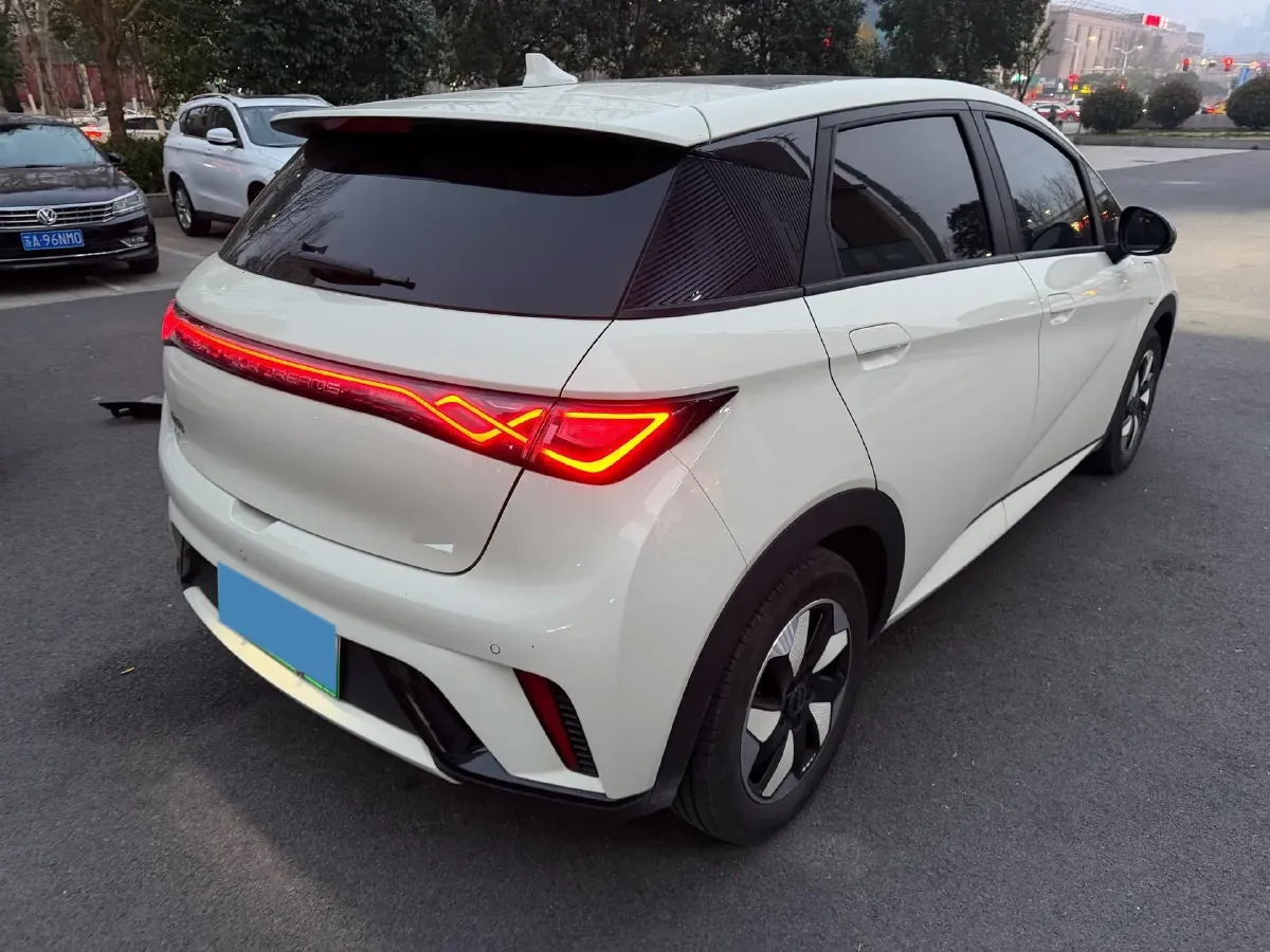 2024 BYD Dolphin BEV 44.928KWH,autocango,china used car exporter,china ev exporter,chinese used car exporter,chinese used ev exporter