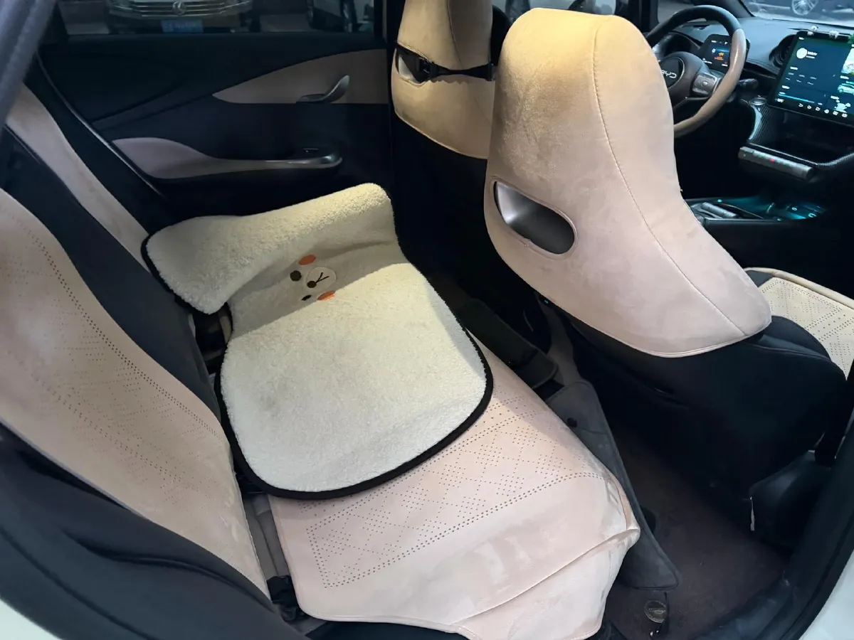 2024 BYD Dolphin BEV 44.928KWH,autocango,china used car exporter,china ev exporter,chinese used car exporter,chinese used ev exporter