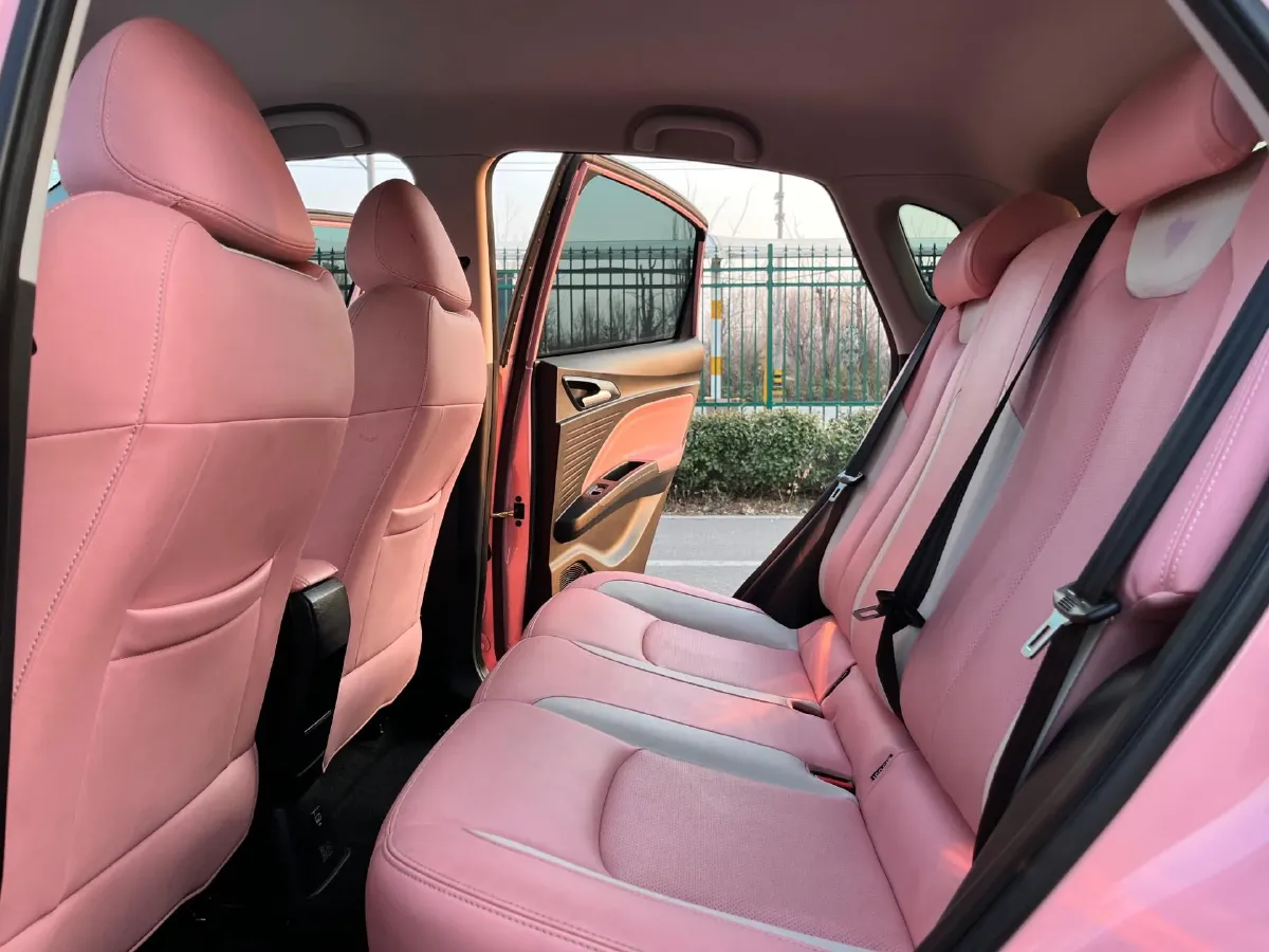 2021 Chery Little Ant BEV 30.6KWH,autocango,china used car exporter,china ev exporter,chinese used car exporter,chinese used ev exporter