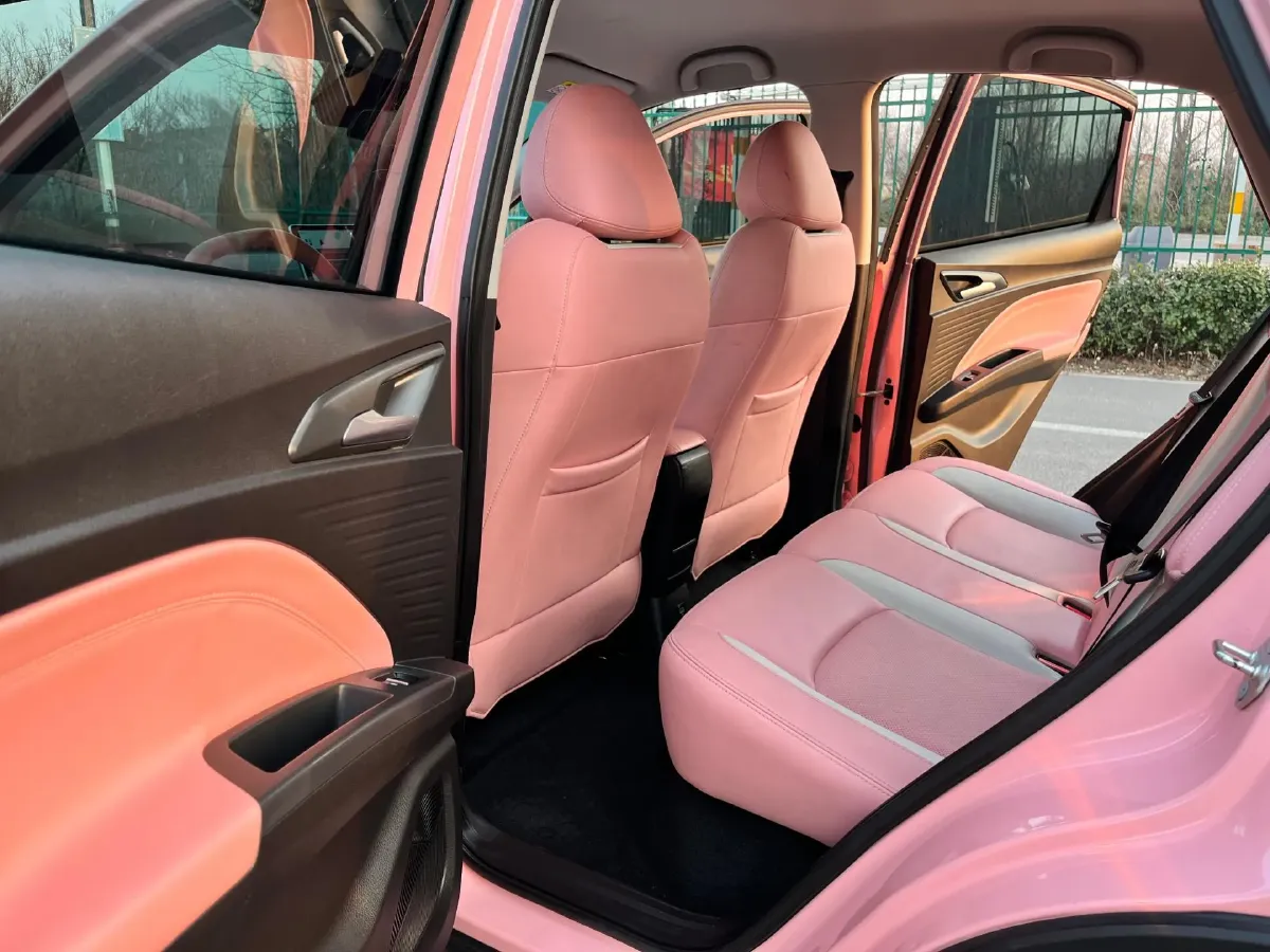 2021 Chery Little Ant BEV 30.6KWH,autocango,china used car exporter,china ev exporter,chinese used car exporter,chinese used ev exporter