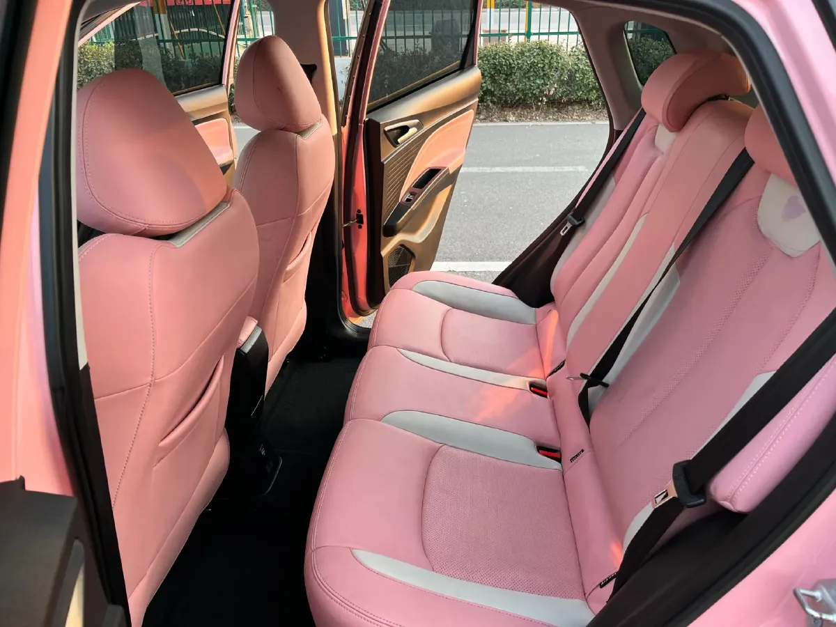 2021 Chery Little Ant BEV 30.6KWH,autocango,china used car exporter,china ev exporter,chinese used car exporter,chinese used ev exporter