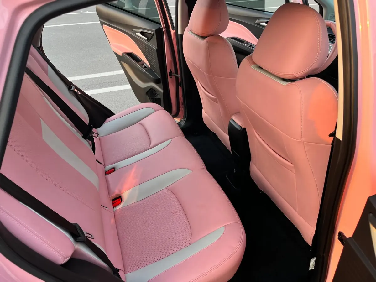 2021 Chery Little Ant BEV 30.6KWH,autocango,china used car exporter,china ev exporter,chinese used car exporter,chinese used ev exporter