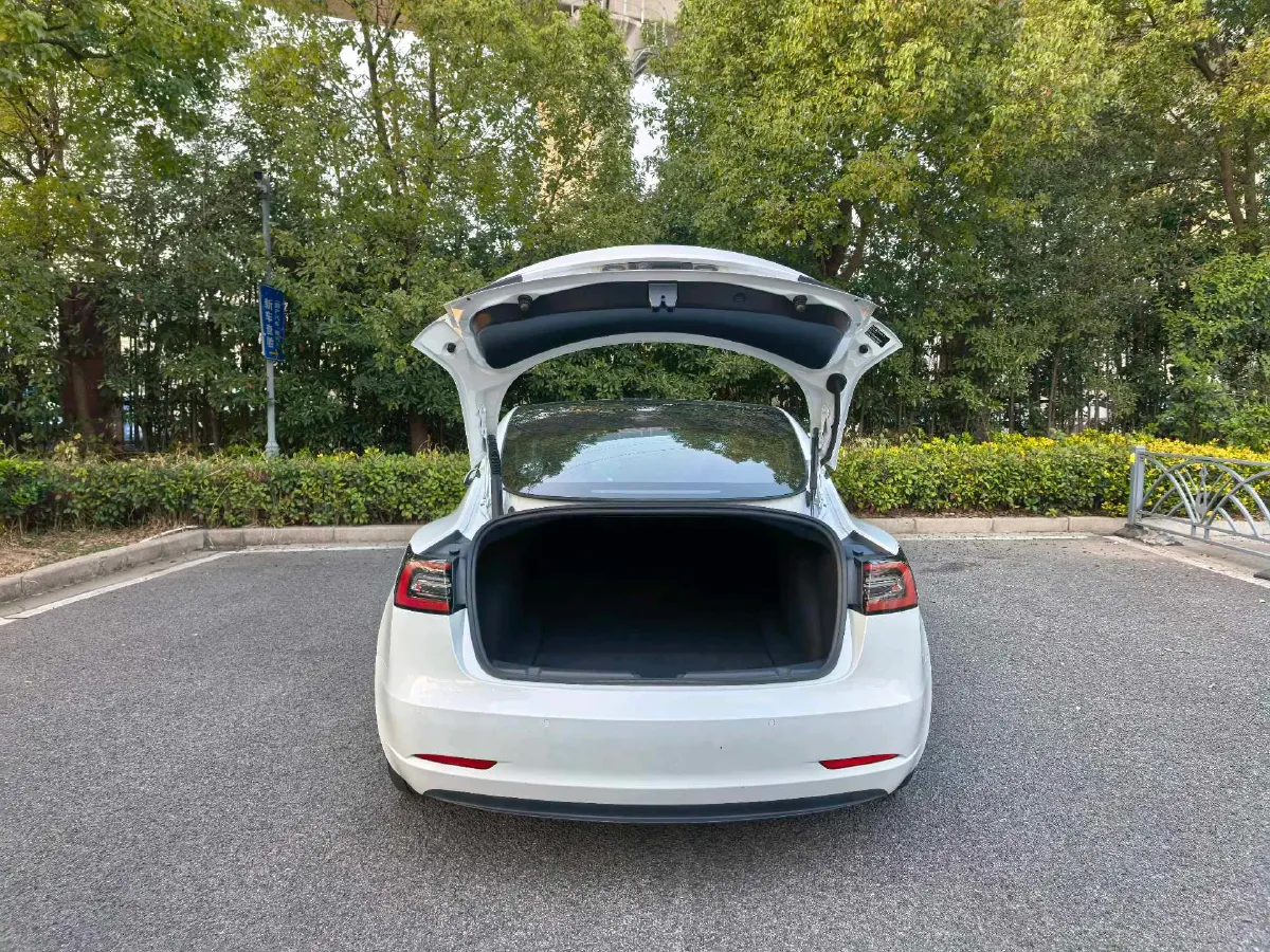 2022 Tesla Model 3 BEV 60KWH,autocango,china used car exporter,china ev exporter,chinese used car exporter,chinese used ev exporter