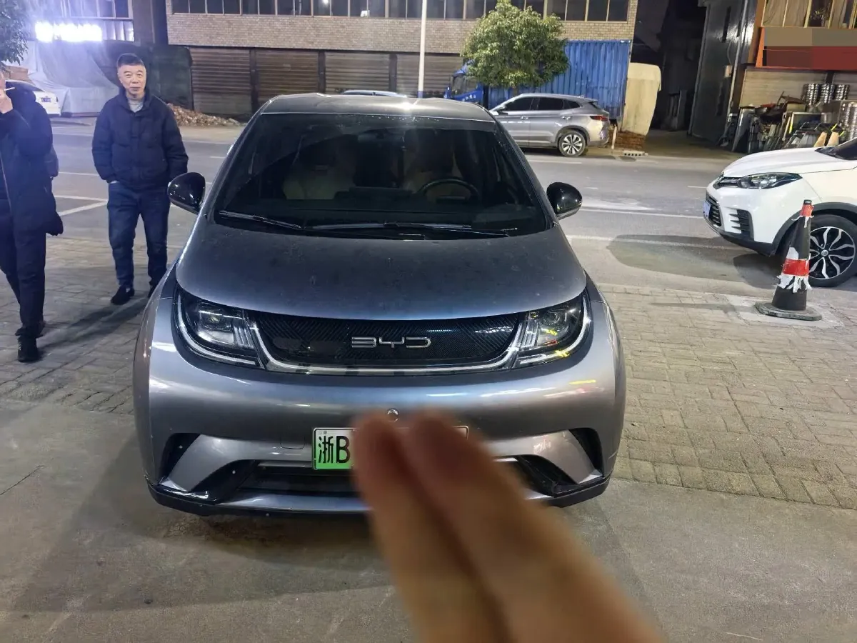 2023 BYD Dolphin BEV 44.928KWH,autocango,china used car exporter,china ev exporter,chinese used car exporter,chinese used ev exporter