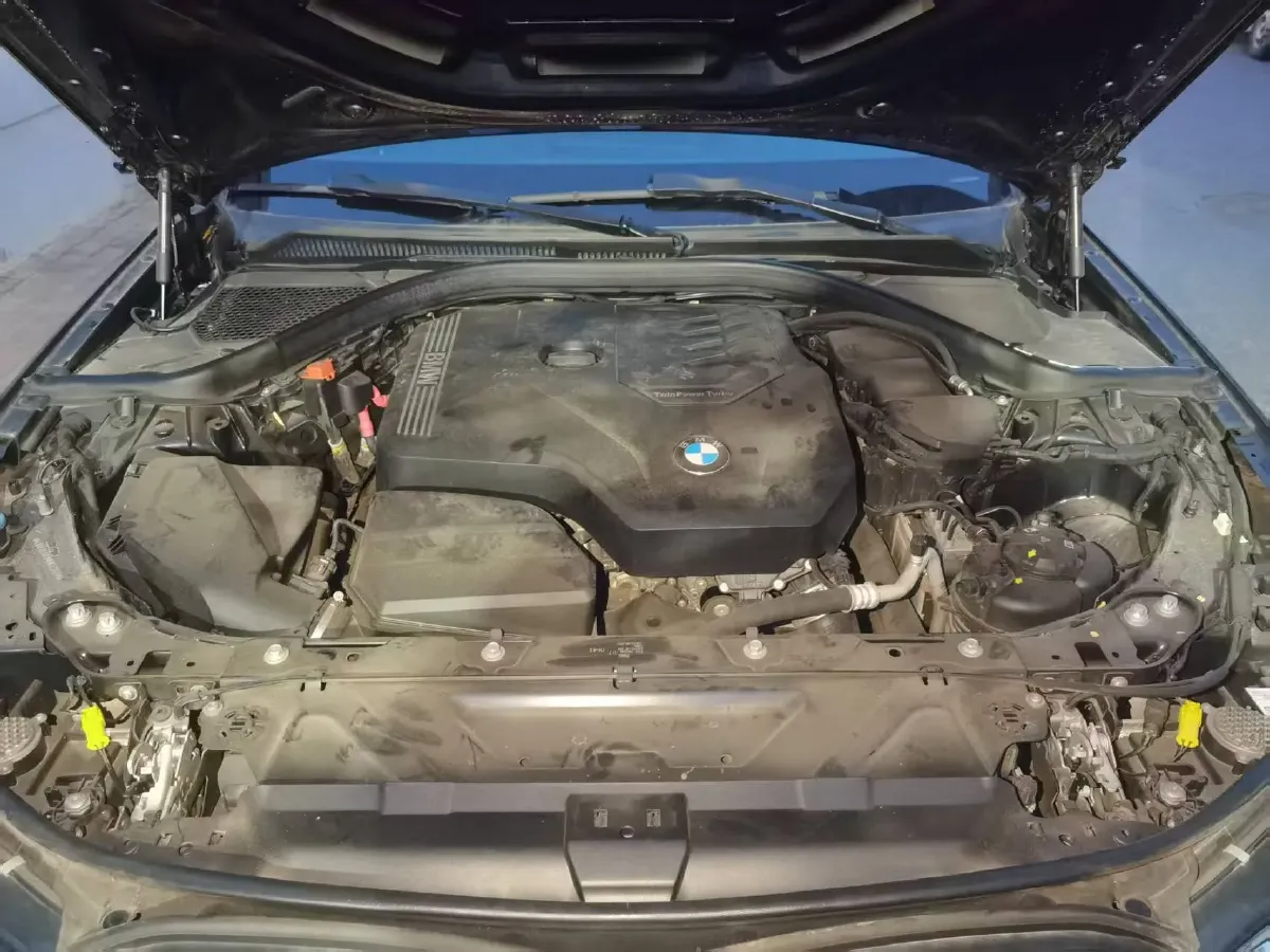 2021 BMW 3 Series 2.0T 184HP L4 8AT,autocango,china used car exporter,china ev exporter,chinese used car exporter,chinese used ev exporter