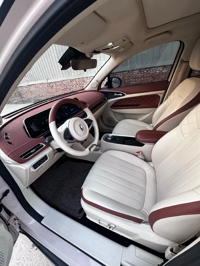 2021 Ora FunkyCat BEV 45.99KWH,autocango,china used car exporter,china ev exporter,chinese used car exporter,chinese used ev exporter