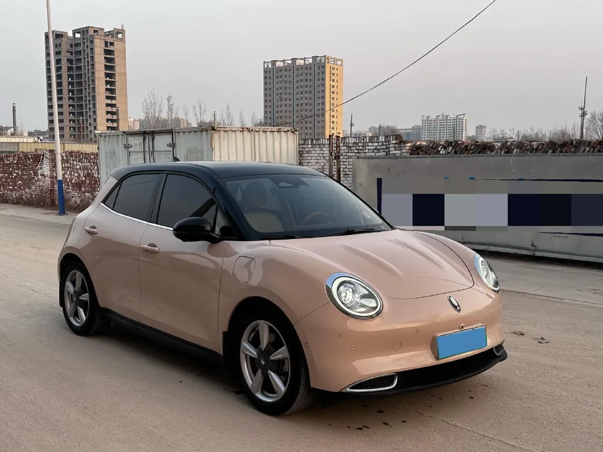 2021 Ora FunkyCat BEV 45.99KWH,autocango,china used car exporter,china ev exporter,chinese used car exporter,chinese used ev exporter