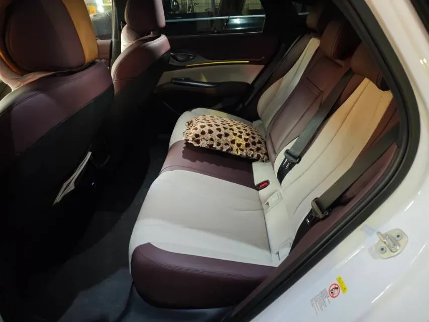 2023 BYD Seal 1.5L 110HP L4 E-CVT PHEV 17.6KWH,autocango,china used car exporter,china ev exporter,chinese used car exporter,chinese used ev exporter