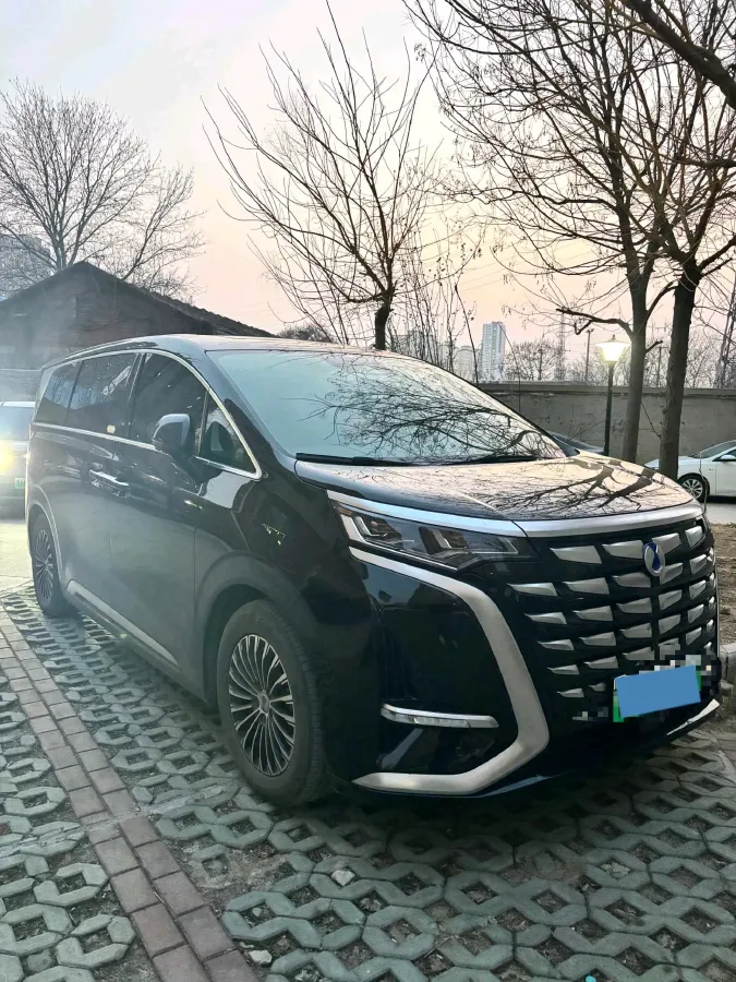 2024 Denza D9 1.5T 139HP L4 E-CVT PHEV 40KWH,autocango,china used car exporter,china ev exporter,chinese used car exporter,chinese used ev exporter
